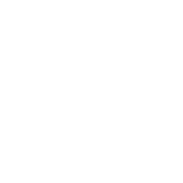 schindler-new-logo-gray-ourline-only.png